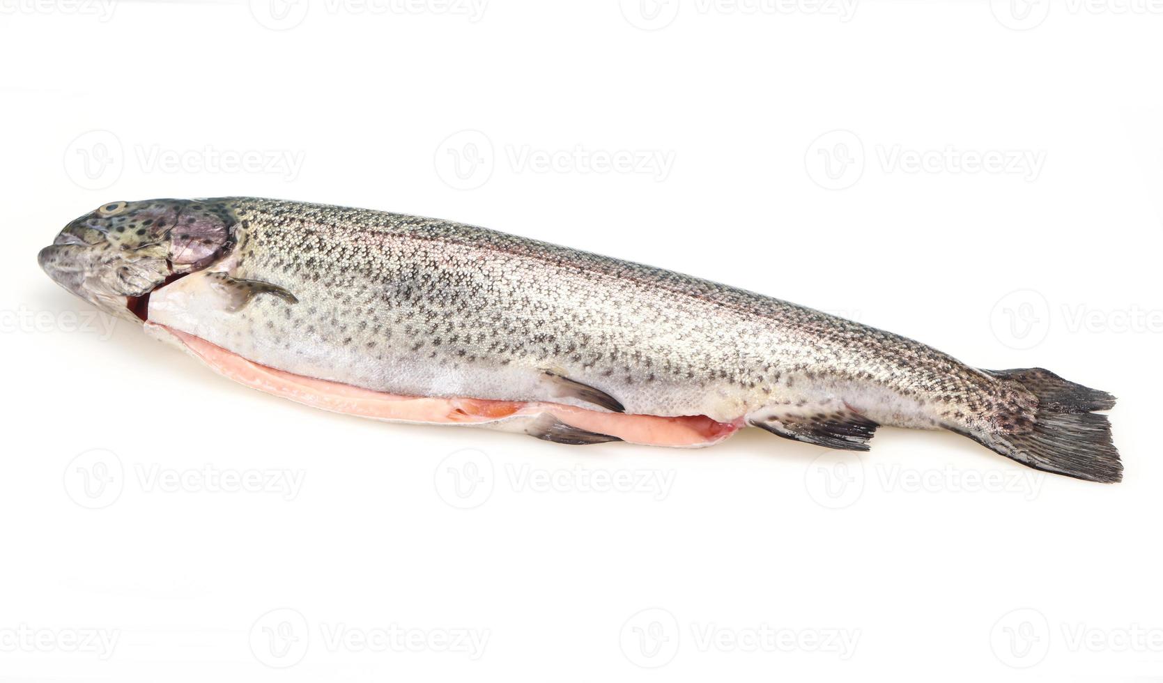 poisson cru de truite isolé sur blanc photo