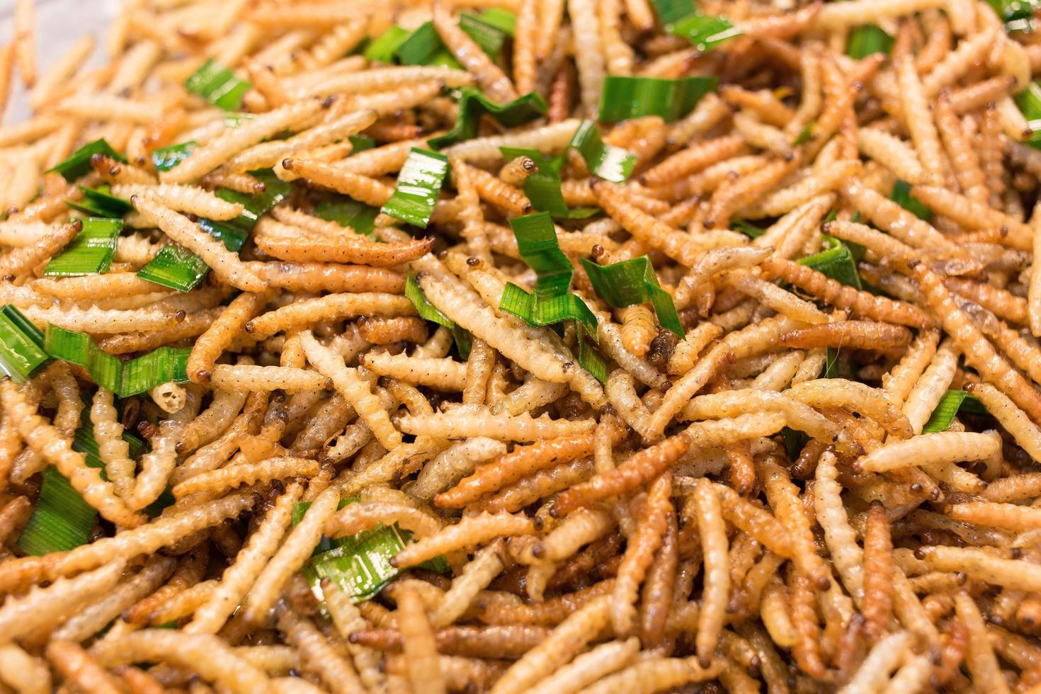 Le ver de bambou frit, les insectes frits sont des aliments riches en protéines. son habitat sont les bosquets de bambous et les forêts des régions plus fraîches du nord de la thaïlande. photo