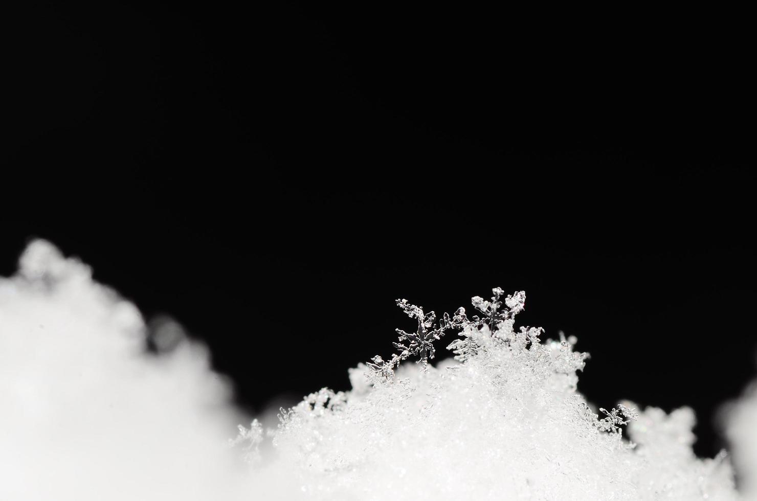 cristaux de neige fondus sur fond noir photo