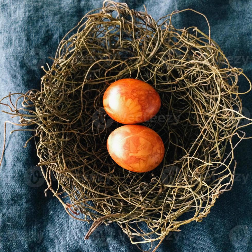 œufs de Pâques teints de façon traditionnelle dans un nid d'oiseau photo