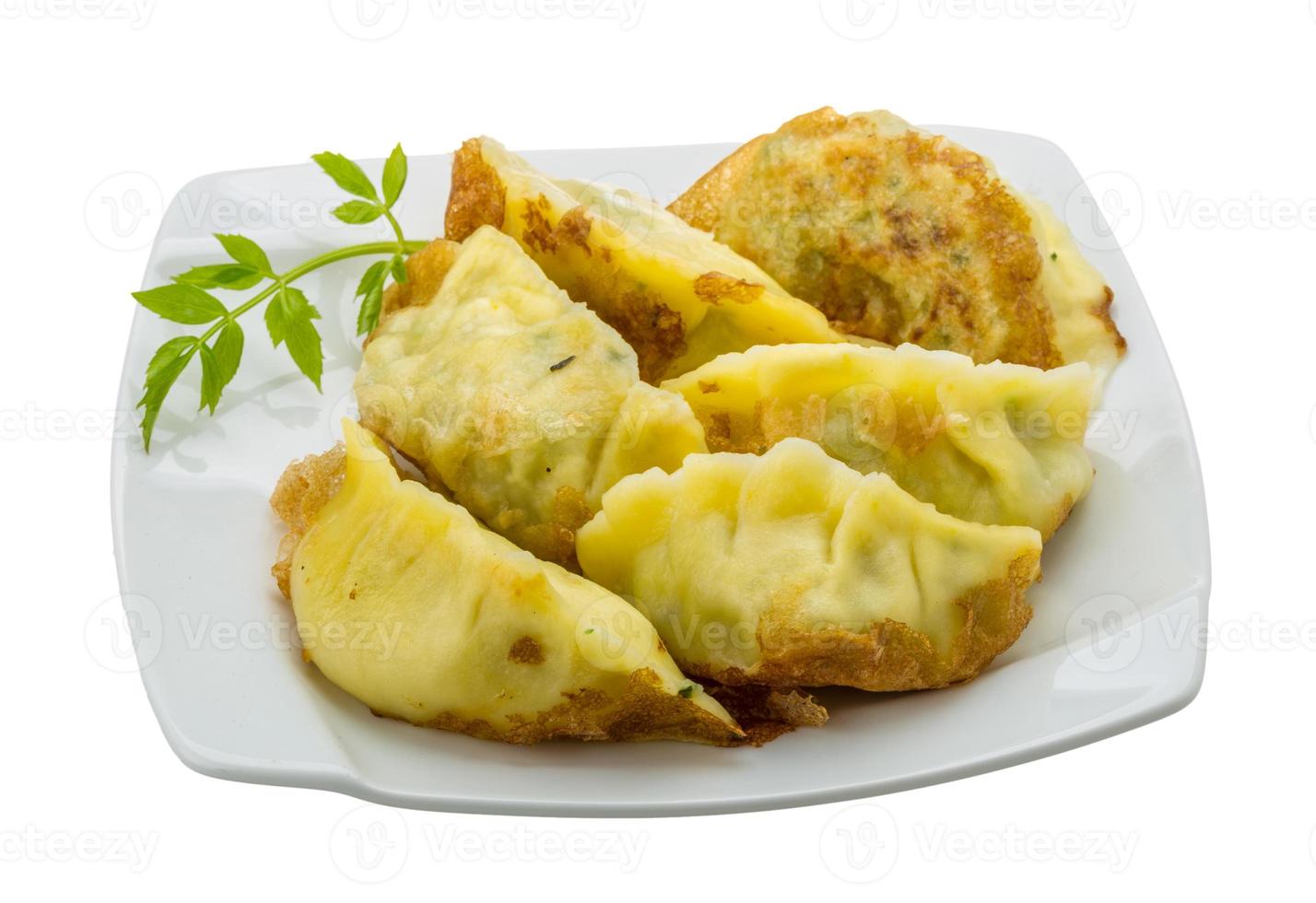 boulettes japonaises - gyoza photo