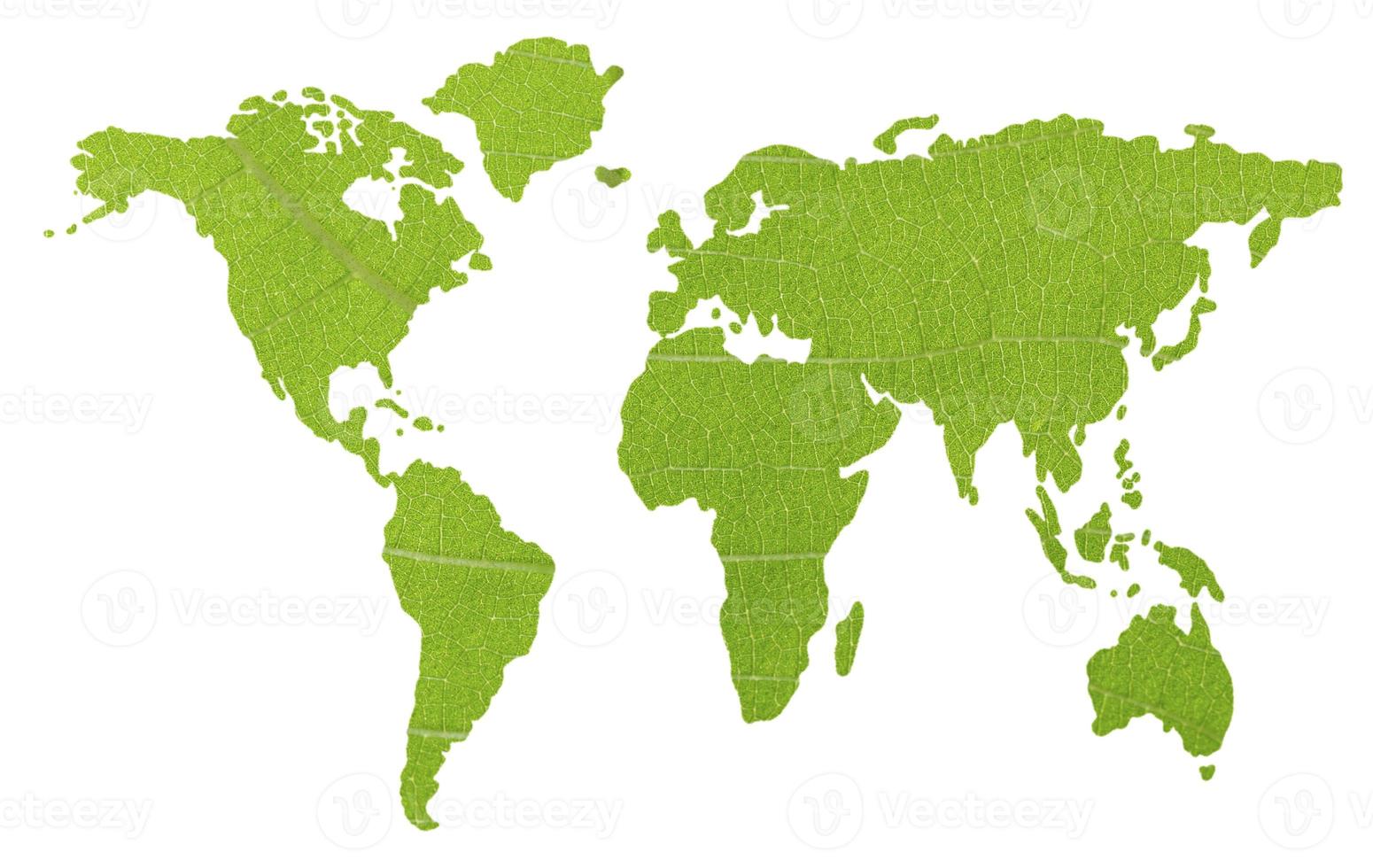 Carte mondiale verte isolée sur fond blanc photo