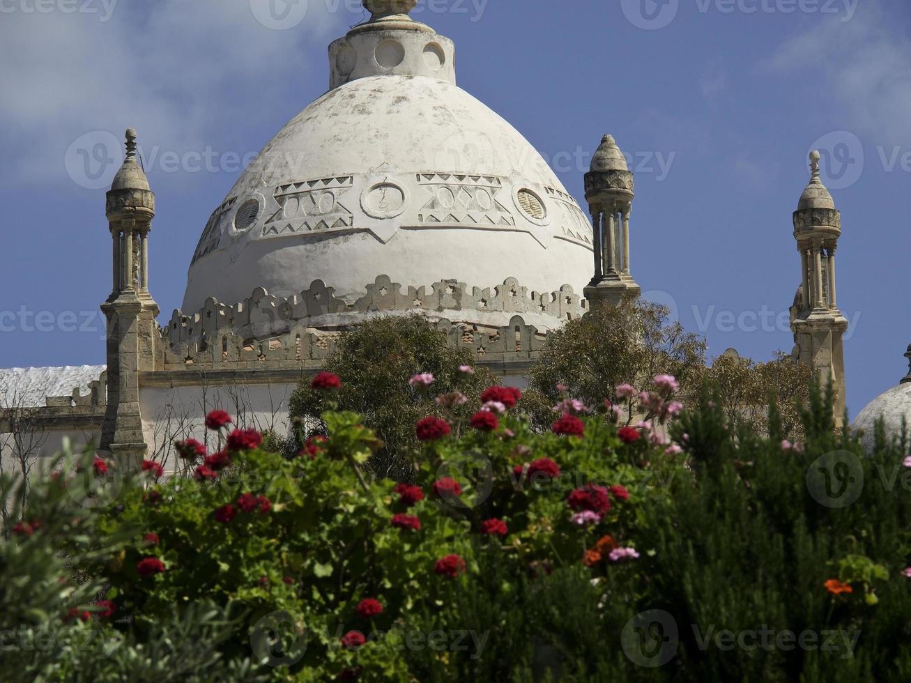 la ville de tunis en tunisie photo