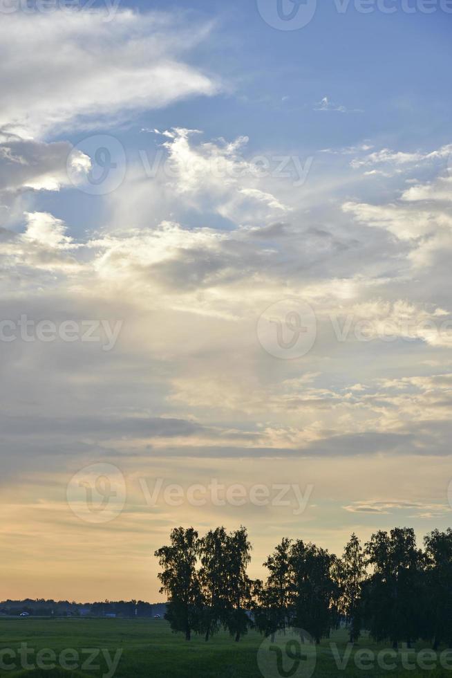 soirée coucher de soleil dans la forêt nuages bleus et roses et forêt photo