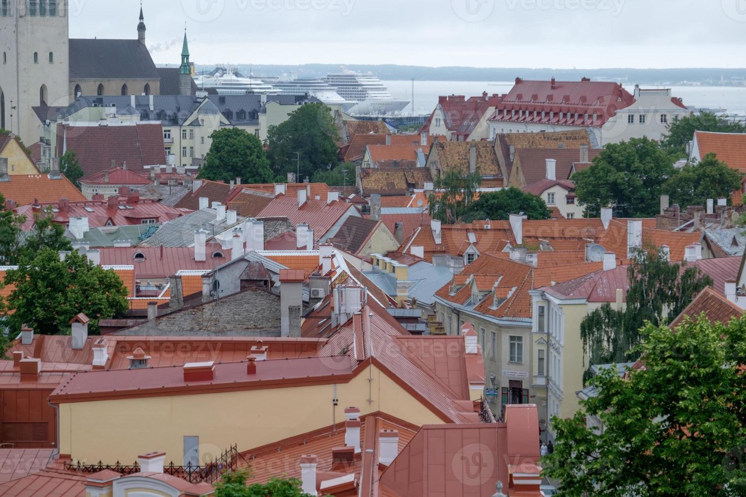 ville de tallinn en estonie photo