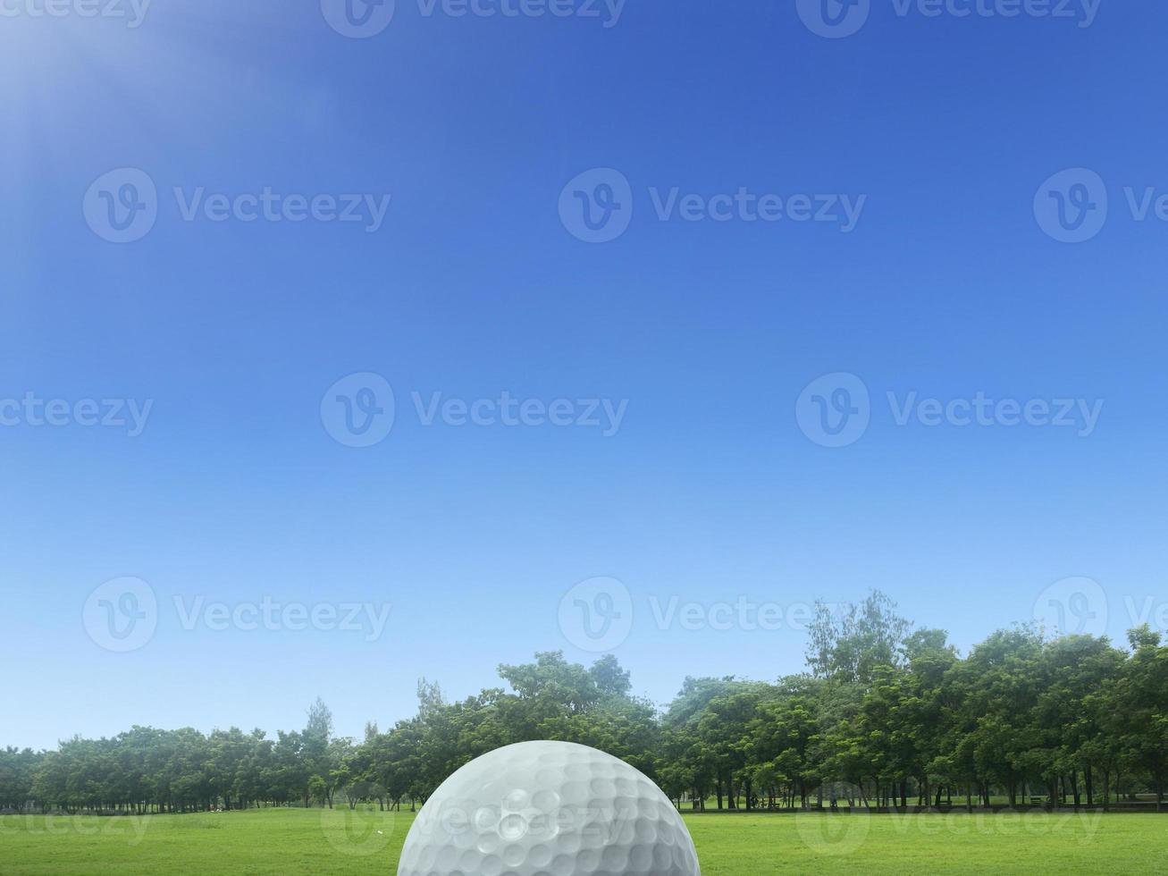 balle de golf sur l'herbe verte dans un magnifique parcours de golf en thaïlande. balle de golf sur le terrain de golf vert le matin avec la douce lumière du soleil photo