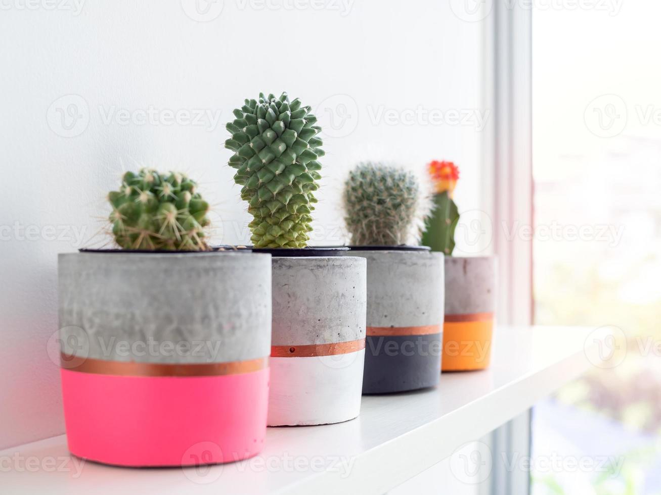 jardinières en béton modernes colorées avec des plantes de cactus. pots en béton peints pour la décoration de la maison photo