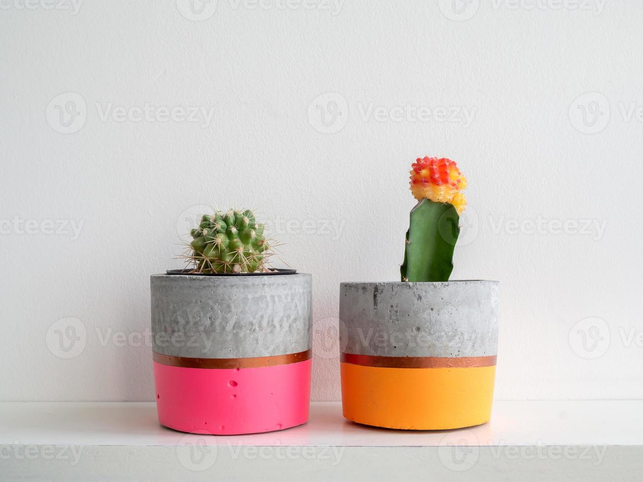 jardinières en béton modernes colorées avec des plantes de cactus. pots en béton peints pour la décoration de la maison photo