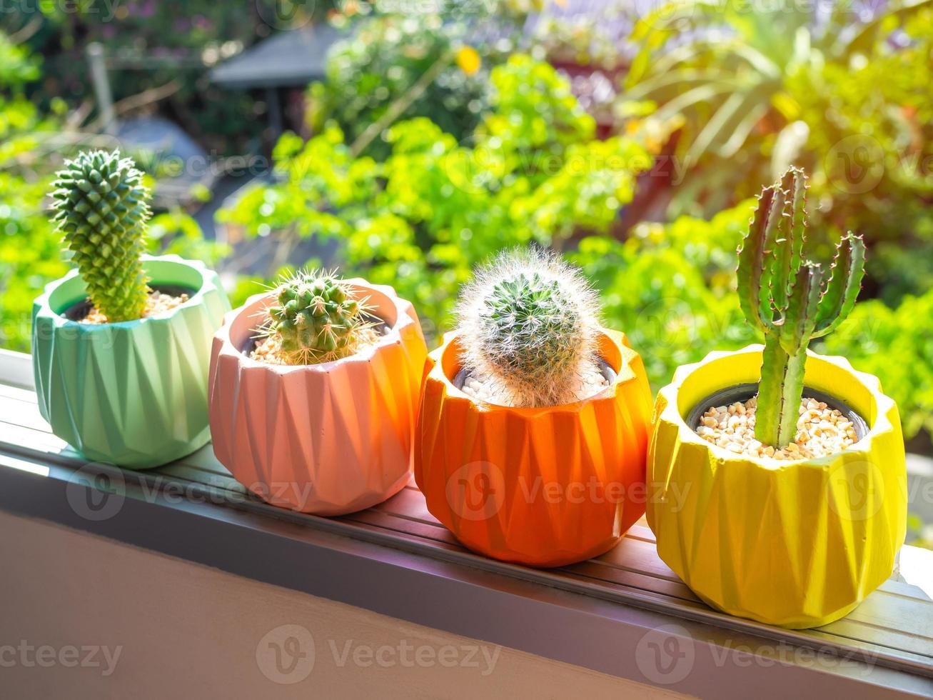 jardinières en béton géométriques peintes colorées avec plante de cactus. pots en béton peints pour la décoration de la maison photo