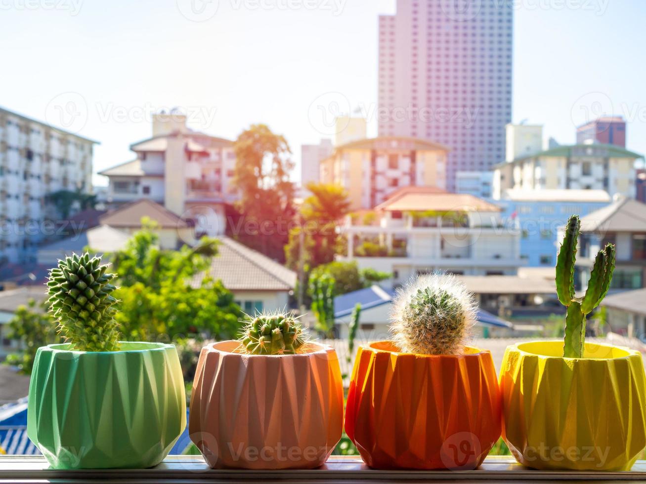 jardinières en béton géométriques peintes colorées avec plante de cactus. pots en béton peints pour la décoration de la maison photo