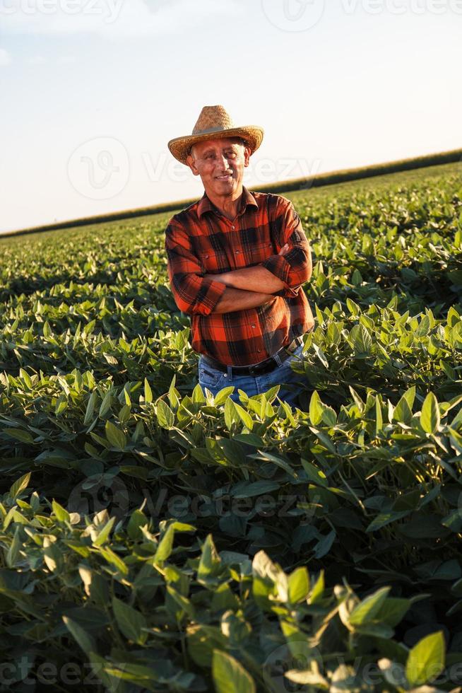 Agriculteur senior dans un champ d'examen des cultures photo