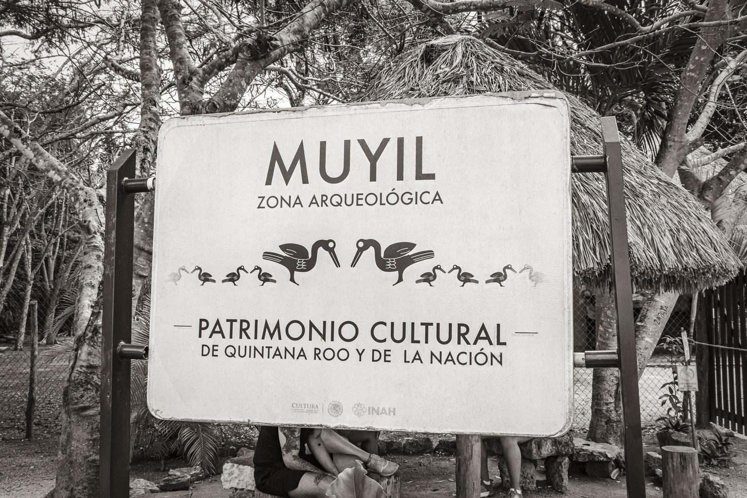 muyil quintana roo mexique 2022 ruines du temple muyil entrée d'information panneau de bienvenue au mexique. photo