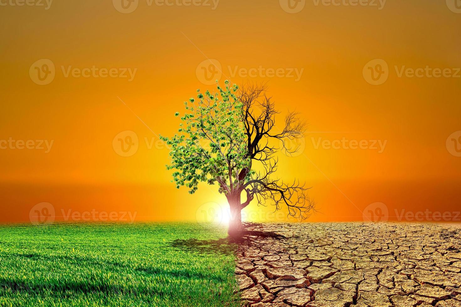 Image conceptuelle du réchauffement climatique montrant les effets de la terre sèche sur l'évolution de l'environnement photo