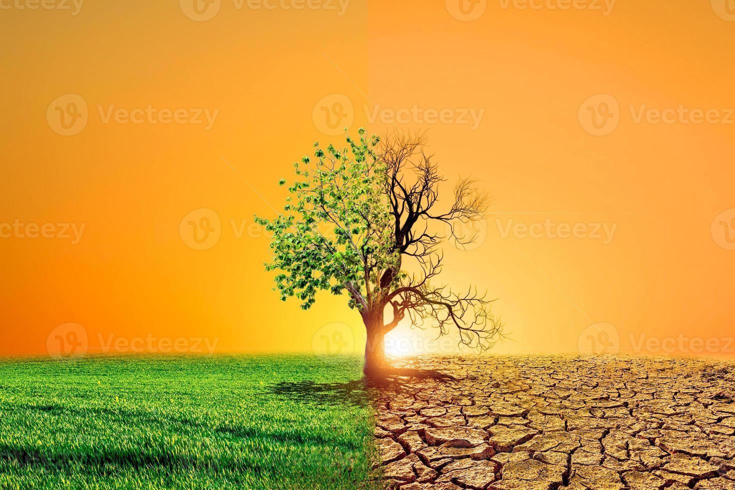 Image conceptuelle du réchauffement climatique montrant les effets de la terre sèche sur l'évolution de l'environnement photo