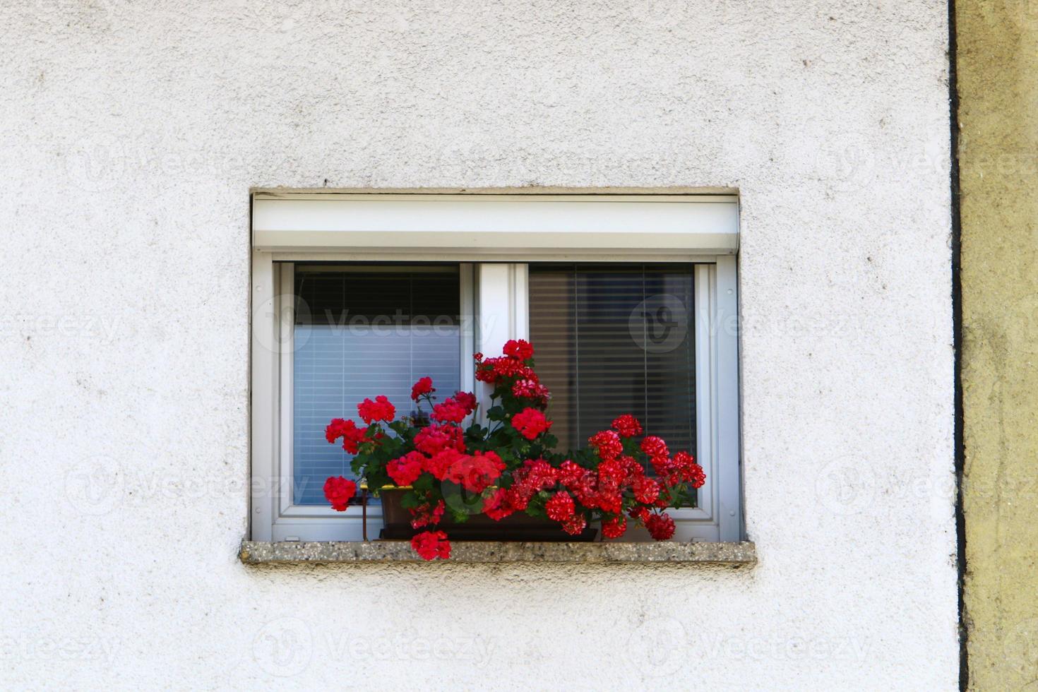 petite fenêtre dans la grande ville photo