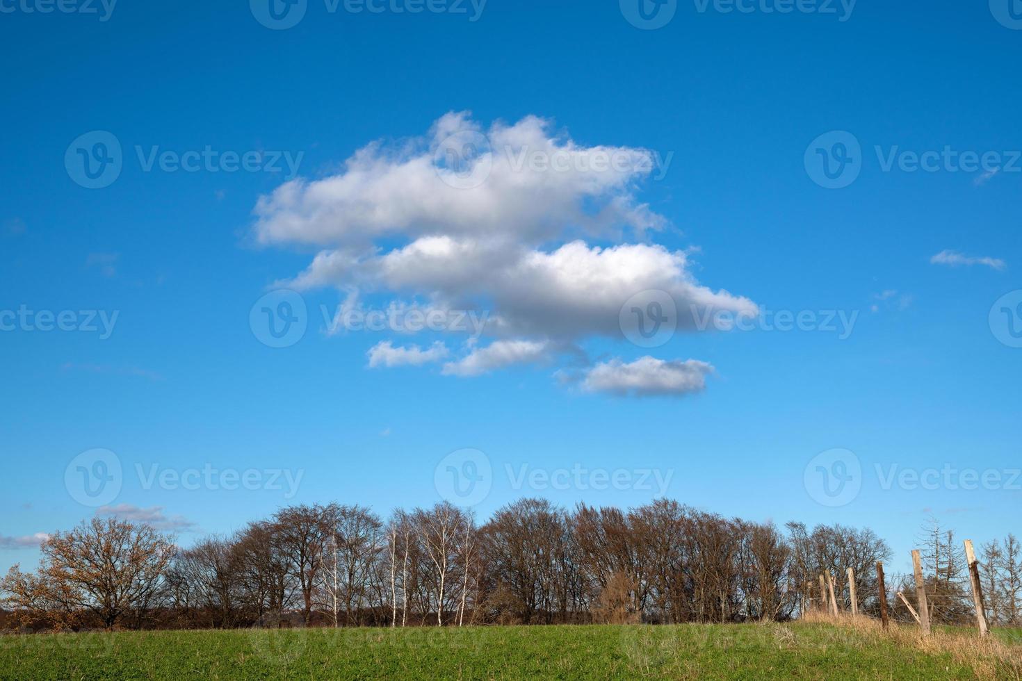 ciel de beau temps avec des nuages blancs photo