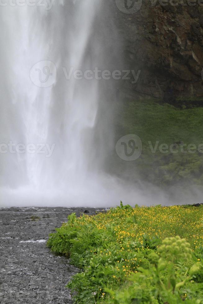 seljalandsfoss - belle cascade sur la côte sud de l'islande photo