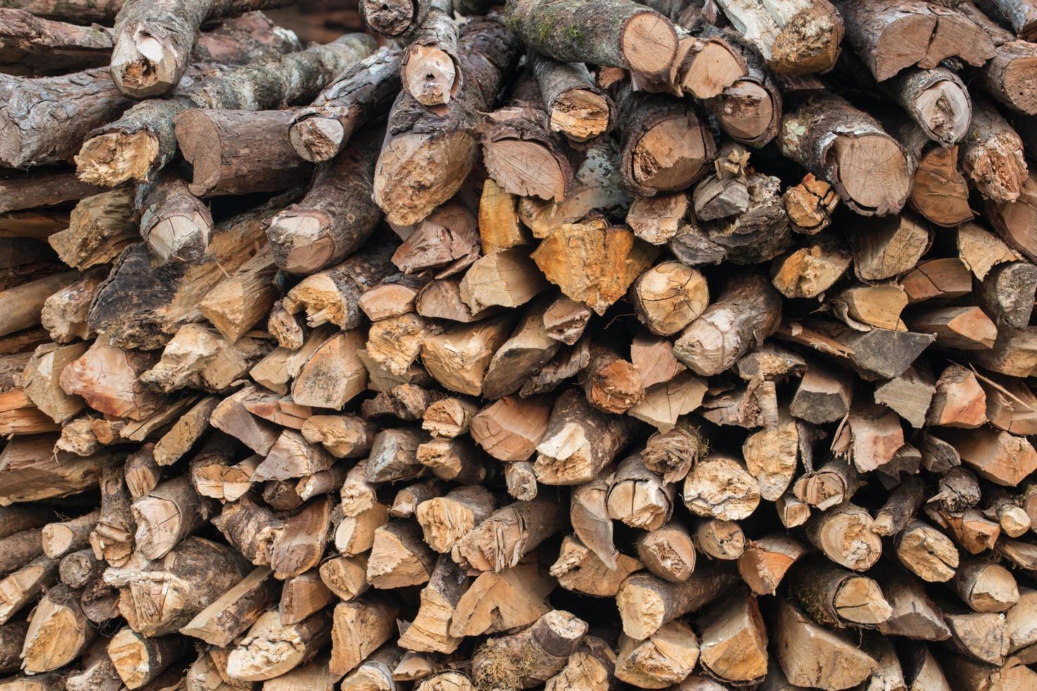 la branche de fond matériel bois de feu. photo