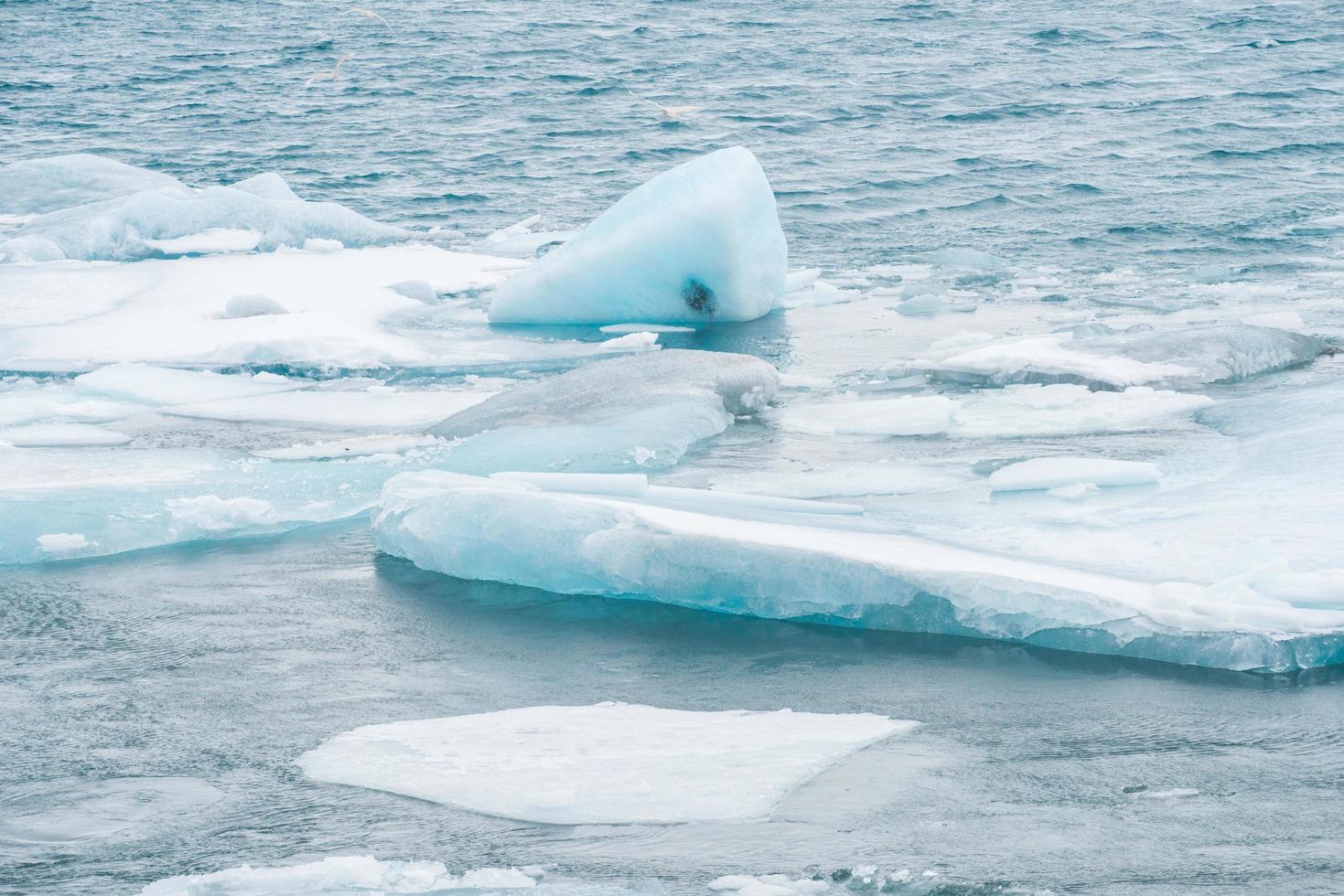 glace flottant sur la côte du lagon glaciaire de jokulsarlon du parc national de vatnajokull dans le sud de l'islande. photo