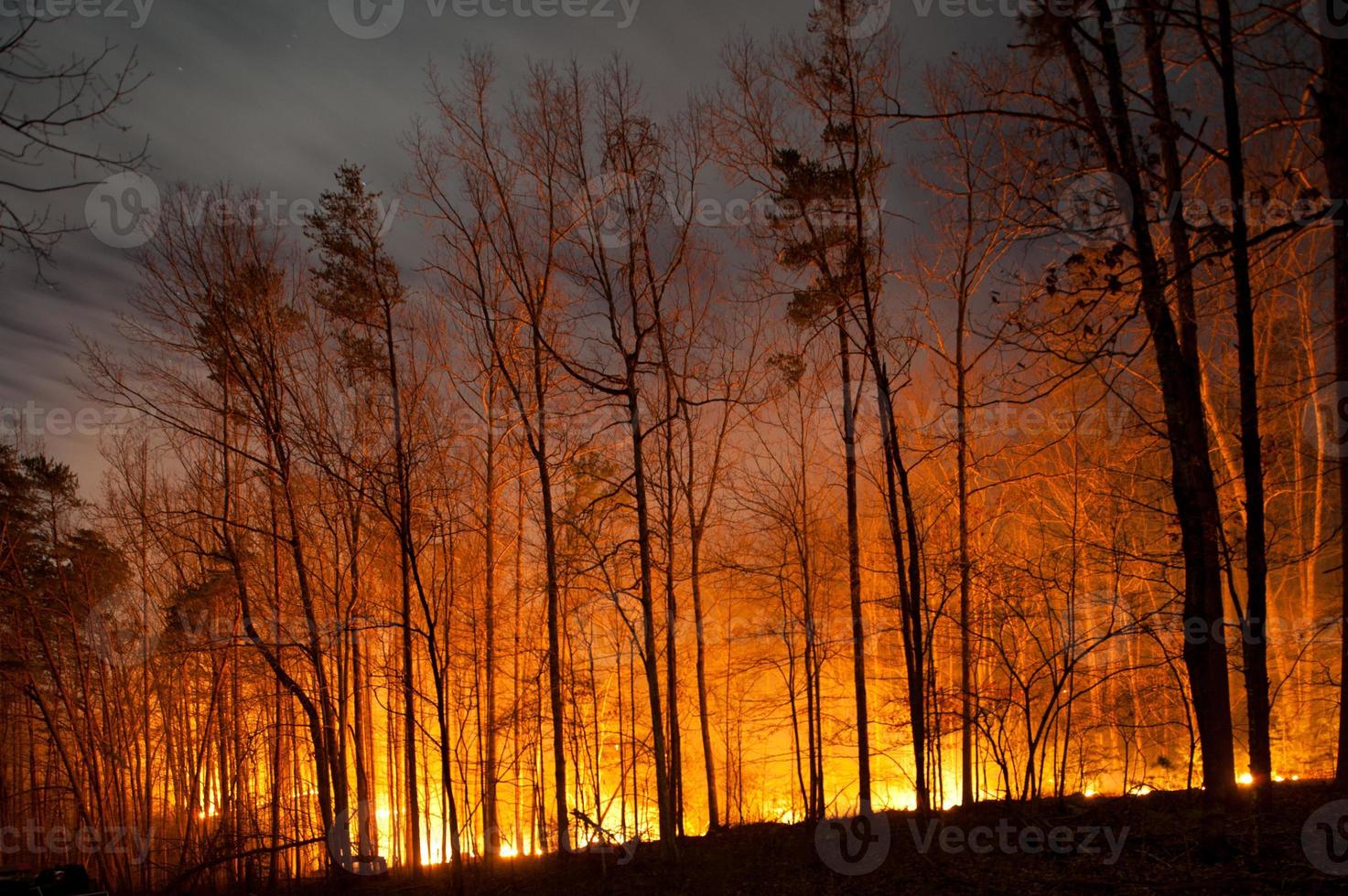 feu de forêt brûlant la nuit photo