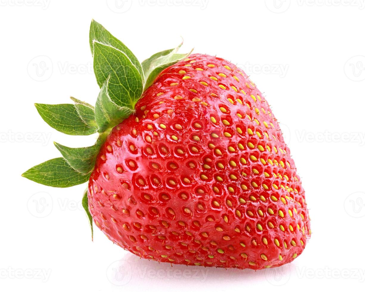 fraise photo