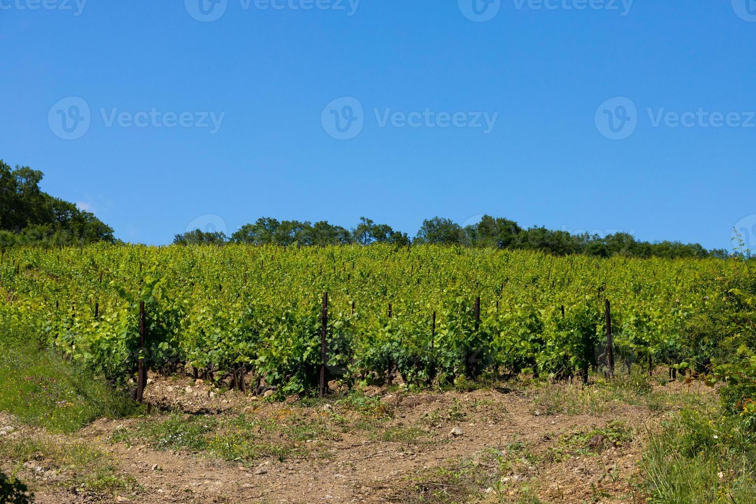 nuages de pluie sur les montagnes et une vallée avec un vignoble verdoyant. photo