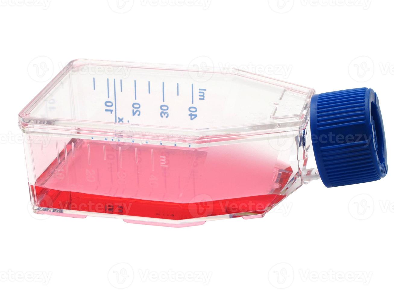 flacon de culture tissulaire avec liquide rouge photo