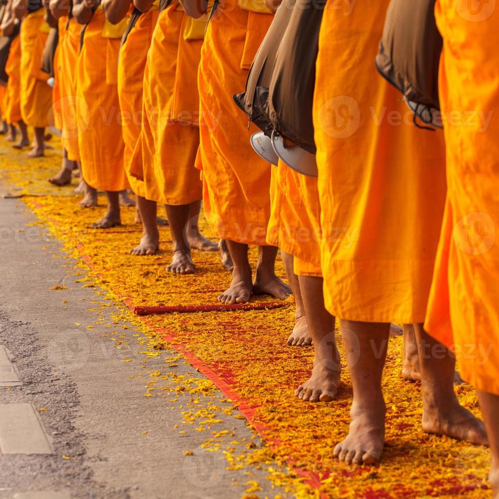 moines en thaïlande photo