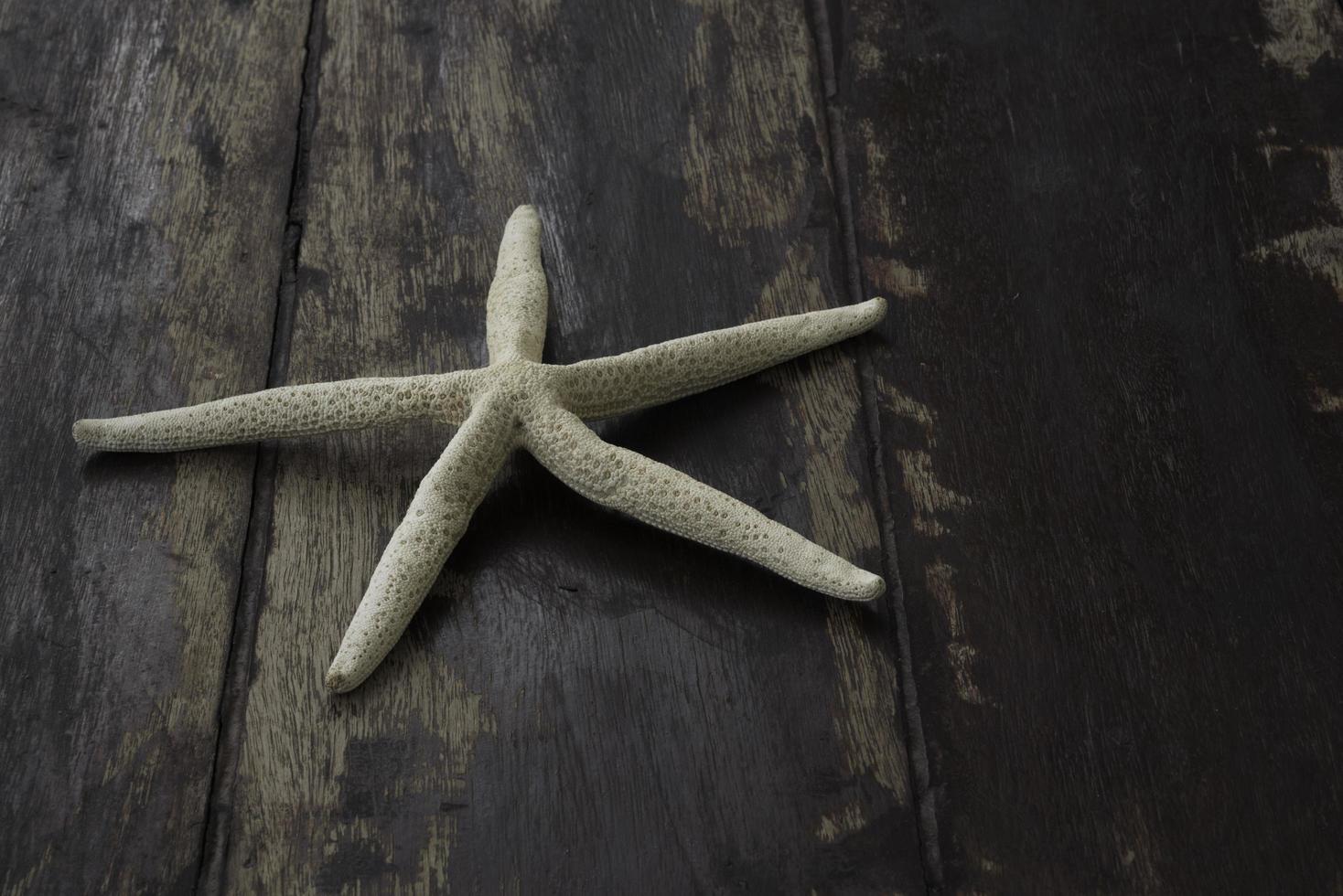 une étoile de mer sur le fond en bois photo