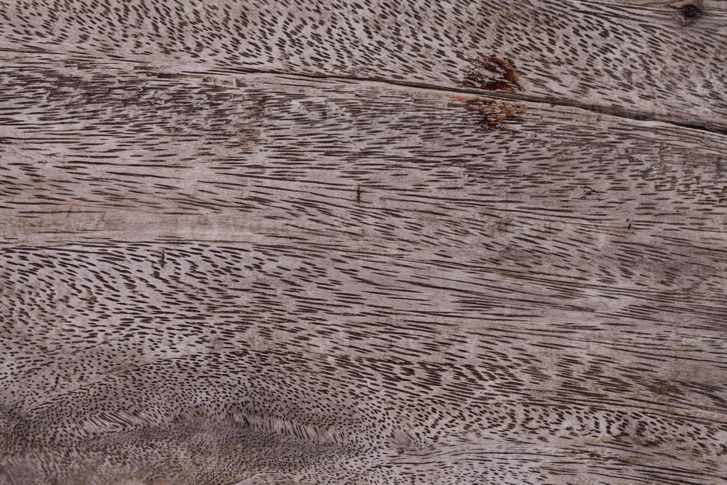 Texture du bois. photo