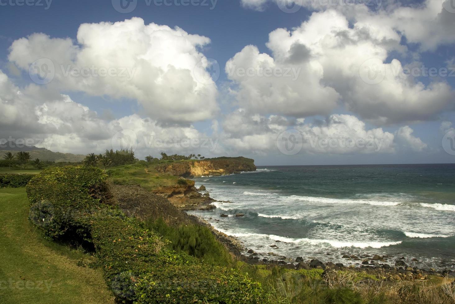 kawai, hawaii, côte avec ciel bleu et nuages blancs photo