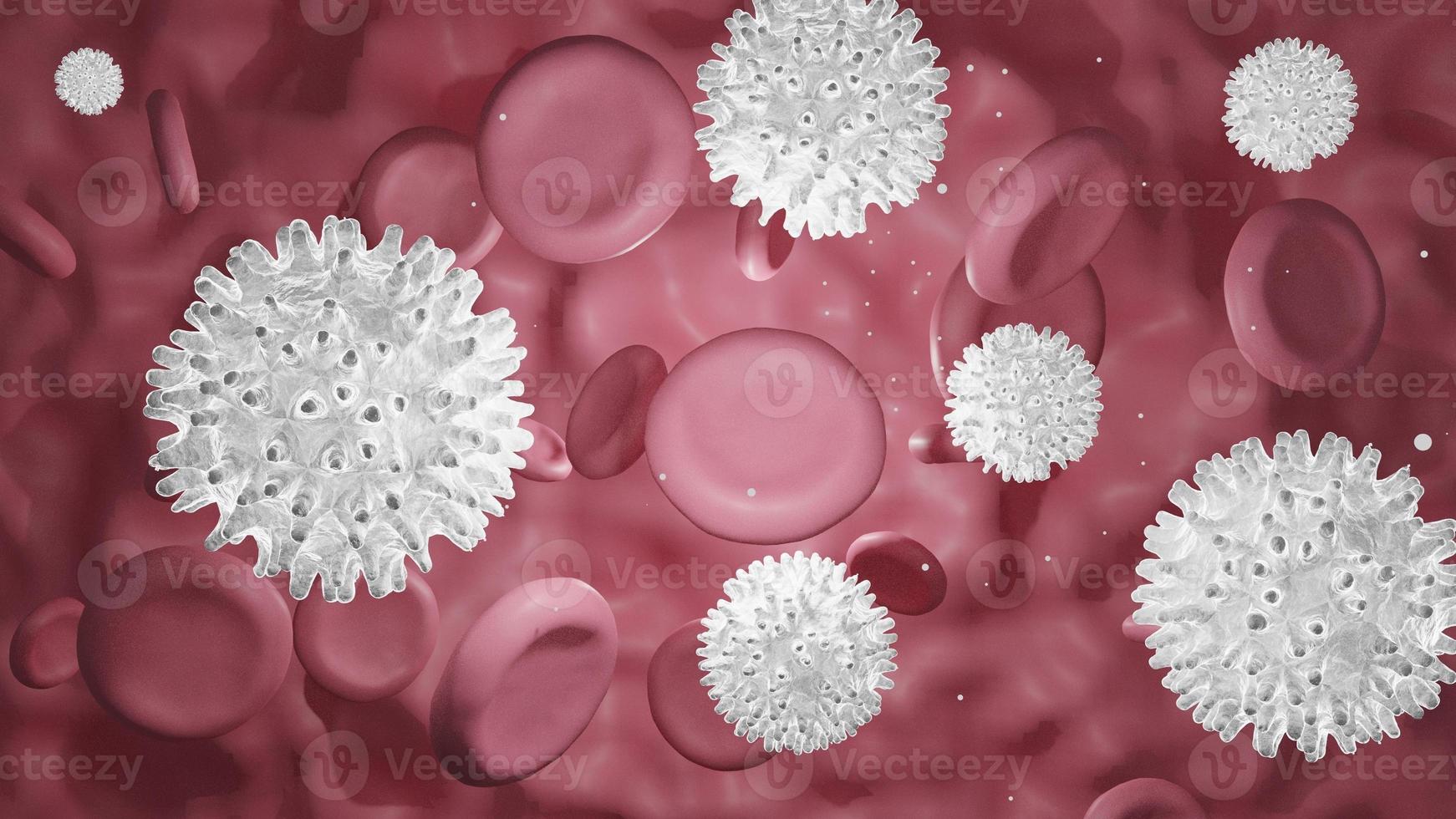 sang rouge et globules blancs dans le sang. la recherche scientifique en médecine et en biologie, les globules rouges dans la veine ou l'artère, circulent à l'intérieur d'un organisme vivant.vu micro.vector illustrer. photo