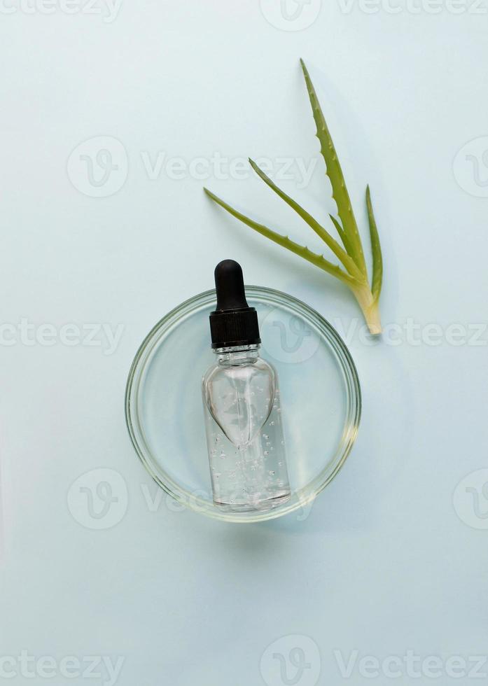 pose à plat de sérum cosmétique et de verrerie de laboratoire avec des feuilles fraîches d'aloe vera sur fond vert clair. cosmétiques bio. vue de dessus à plat, espace de copie. cosmétiques, branding spa, mock-up. photo