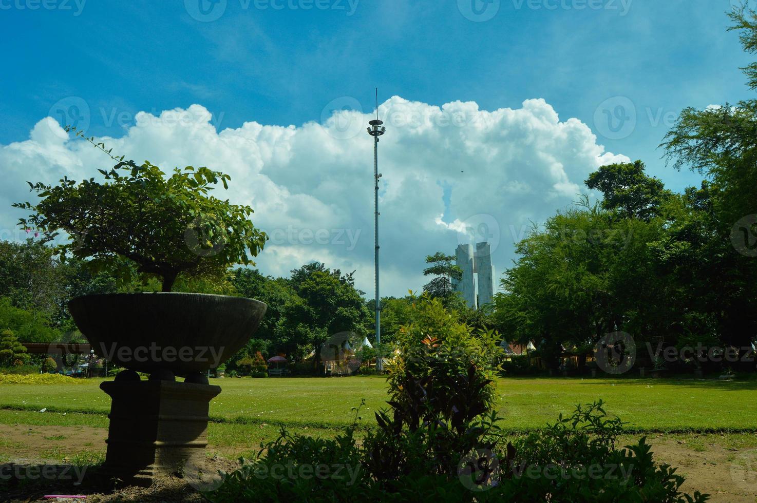 vue sur le jardin avec de belles plantes et nuages photo
