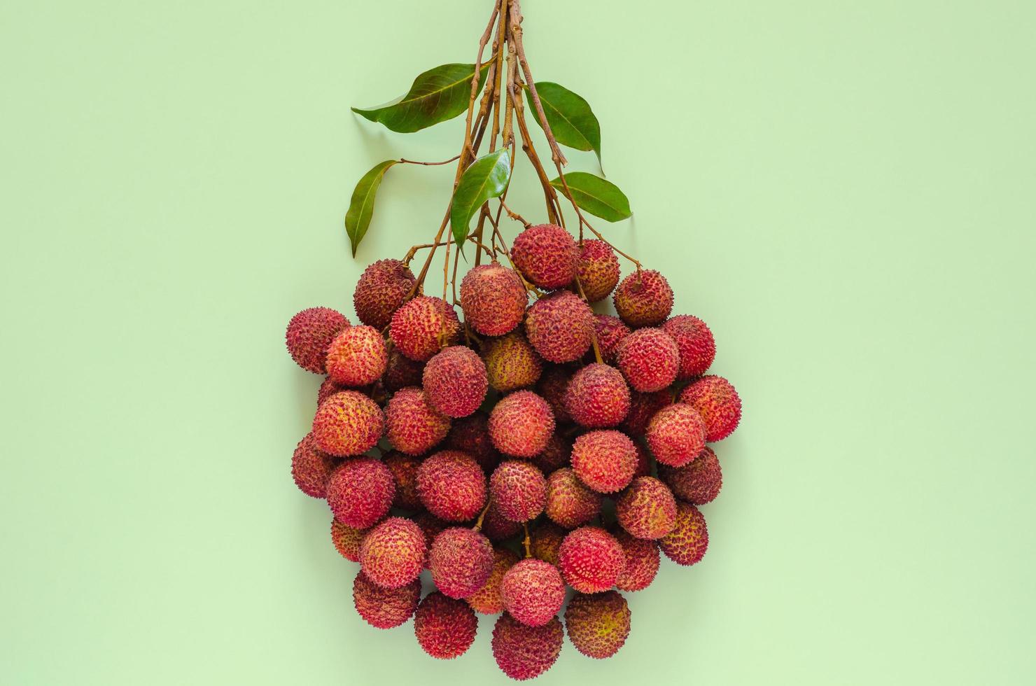 fruits de litchi frais avec tige et feuilles, fruits asiatiques exotiques sur fond rose. photo