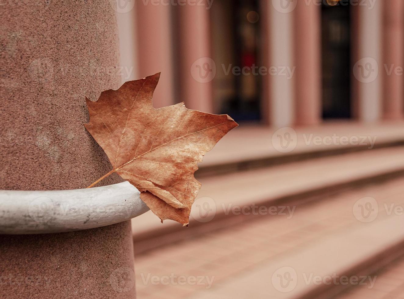 une feuille d'érable flétrie coincée dans la façade de l'immeuble photo