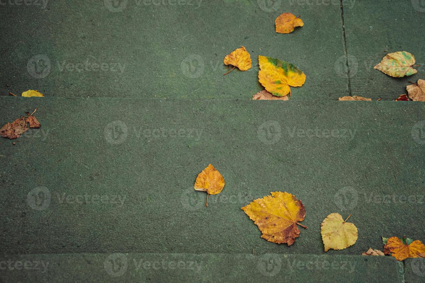 feuilles de feuillage sur un escalier à la recherche d'en haut photo