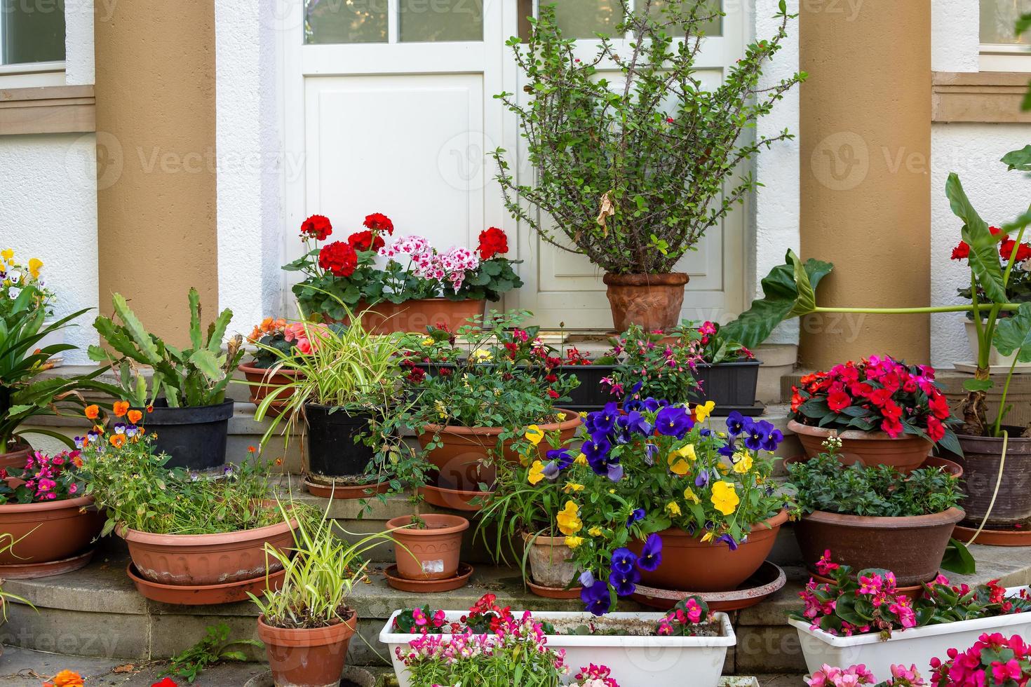 pots de fleurs devant une entrée de maison photo