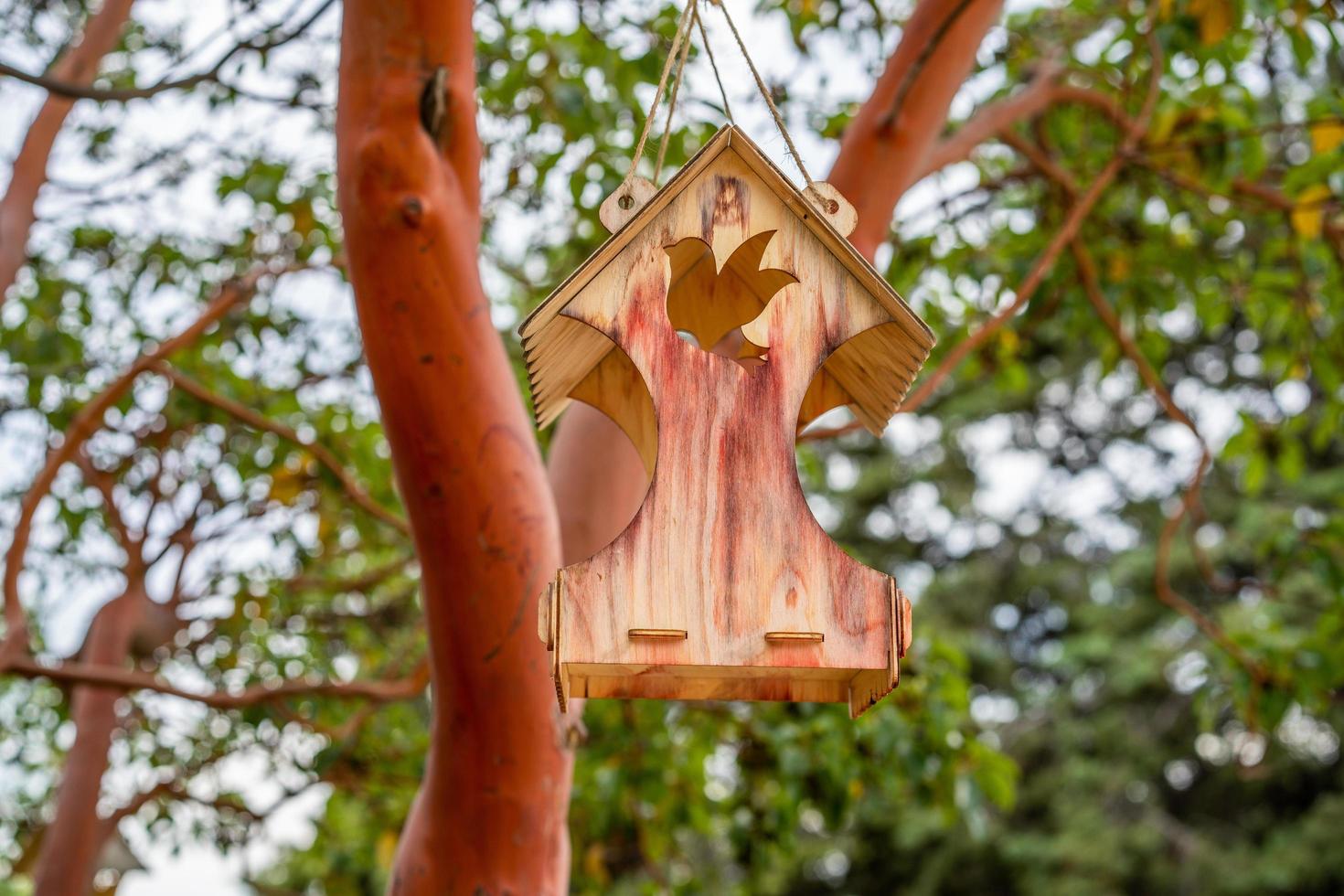 paysage avec mangeoires d'oiseaux sur les arbres photo