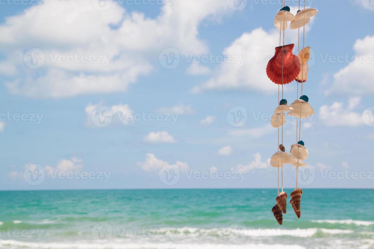 belle plage avec des coquillages suspendus photo