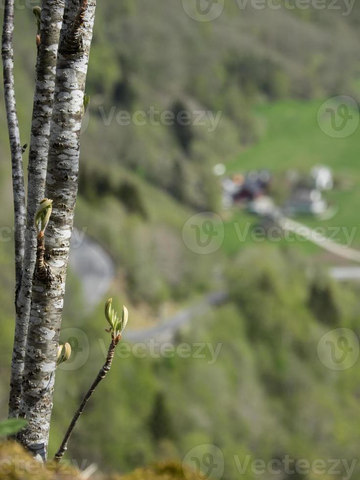 flam en norvège photo