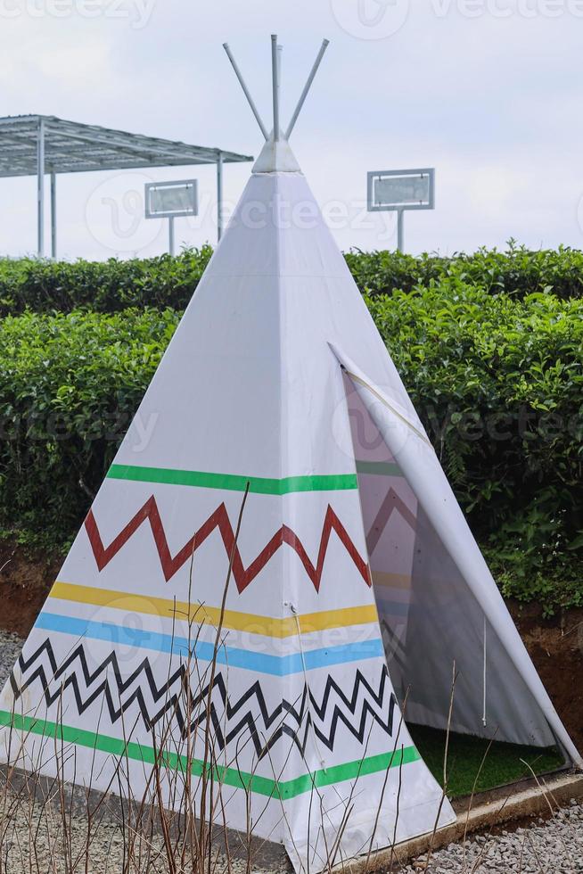 gros plan de la maison du wigwam avec vue sur la plantation de thé. photo