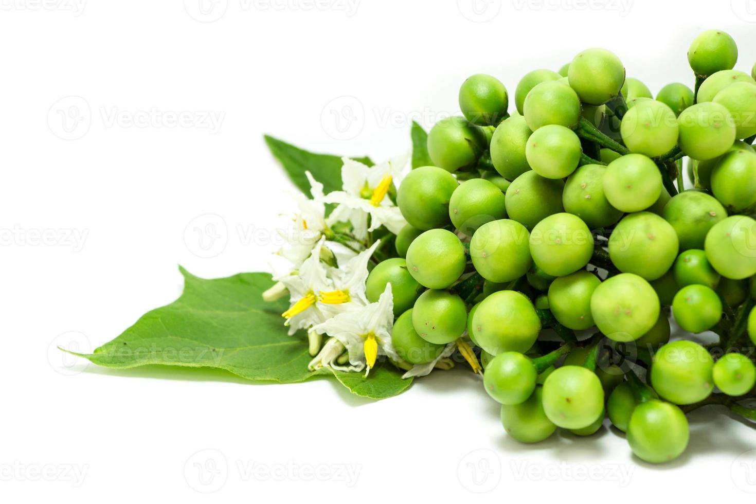 Aubergines de pois sur fond blanc photo