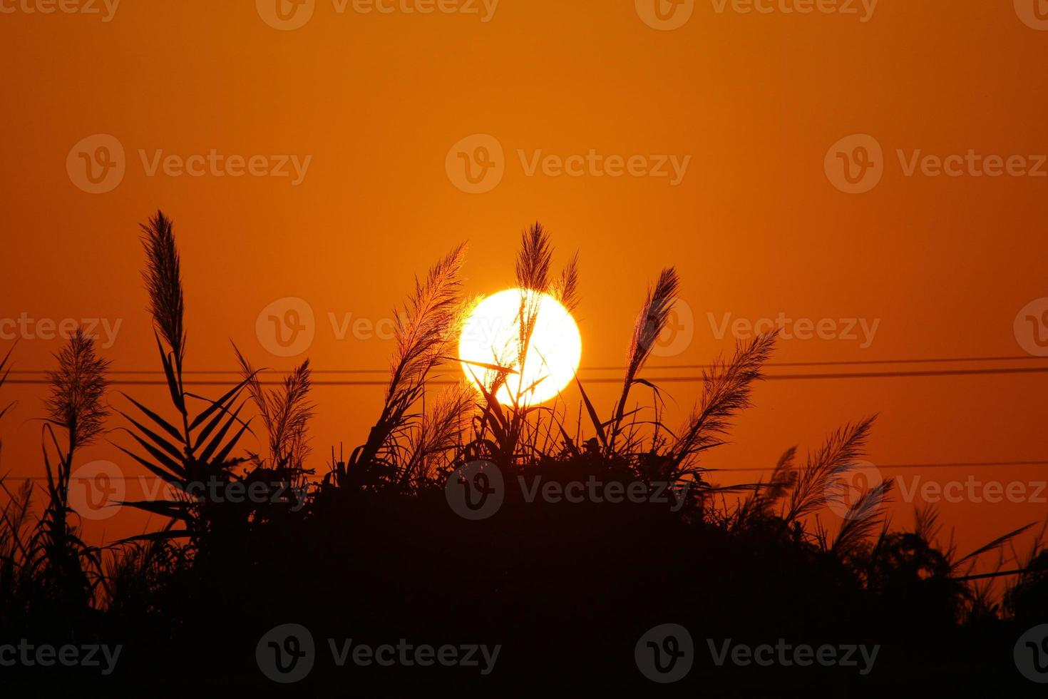 le soleil est l'une des étoiles de notre galaxie et la seule étoile du système solaire. photo