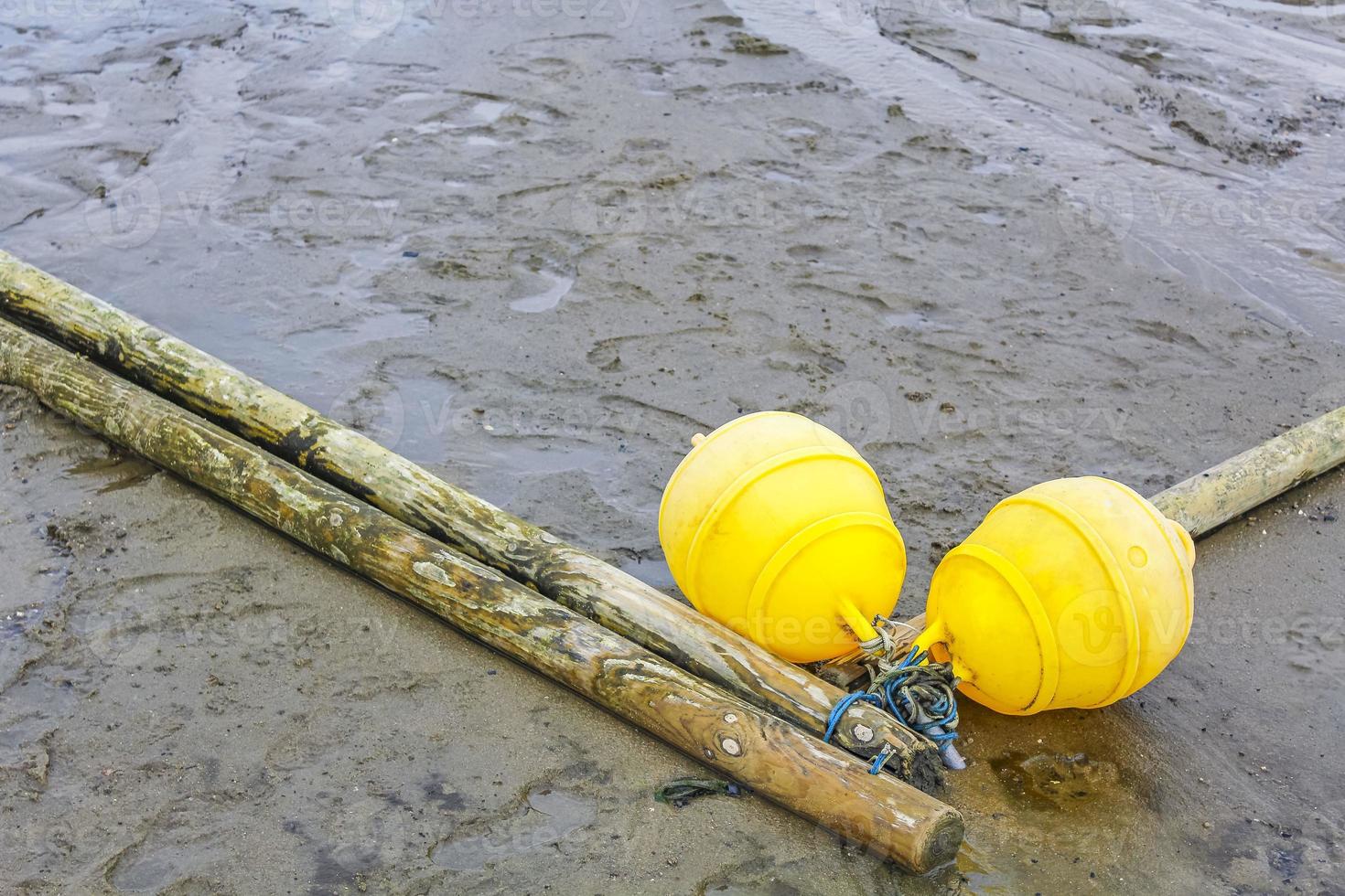 marées de la mer des wadden côte boue sable busard d'eau sable allemagne. photo