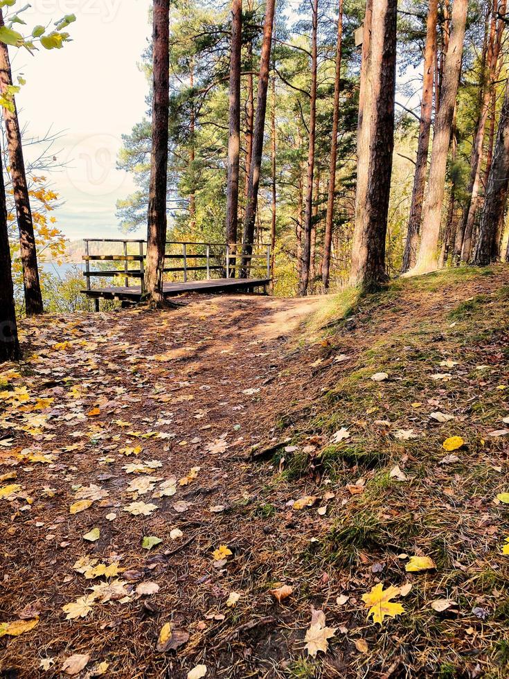 terrasse d'observation dans la forêt d'automne photo