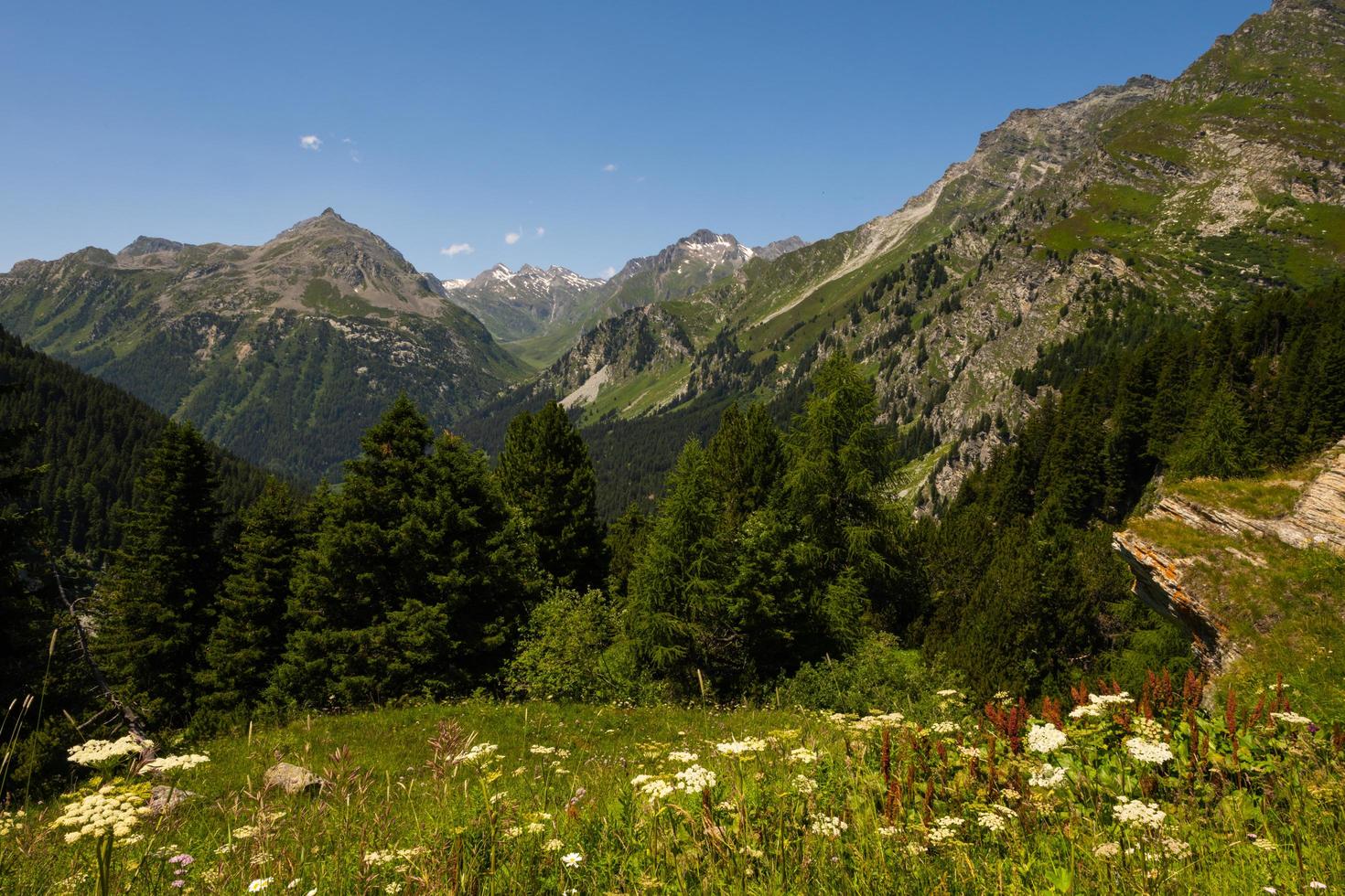 vue depuis le col maloja photo