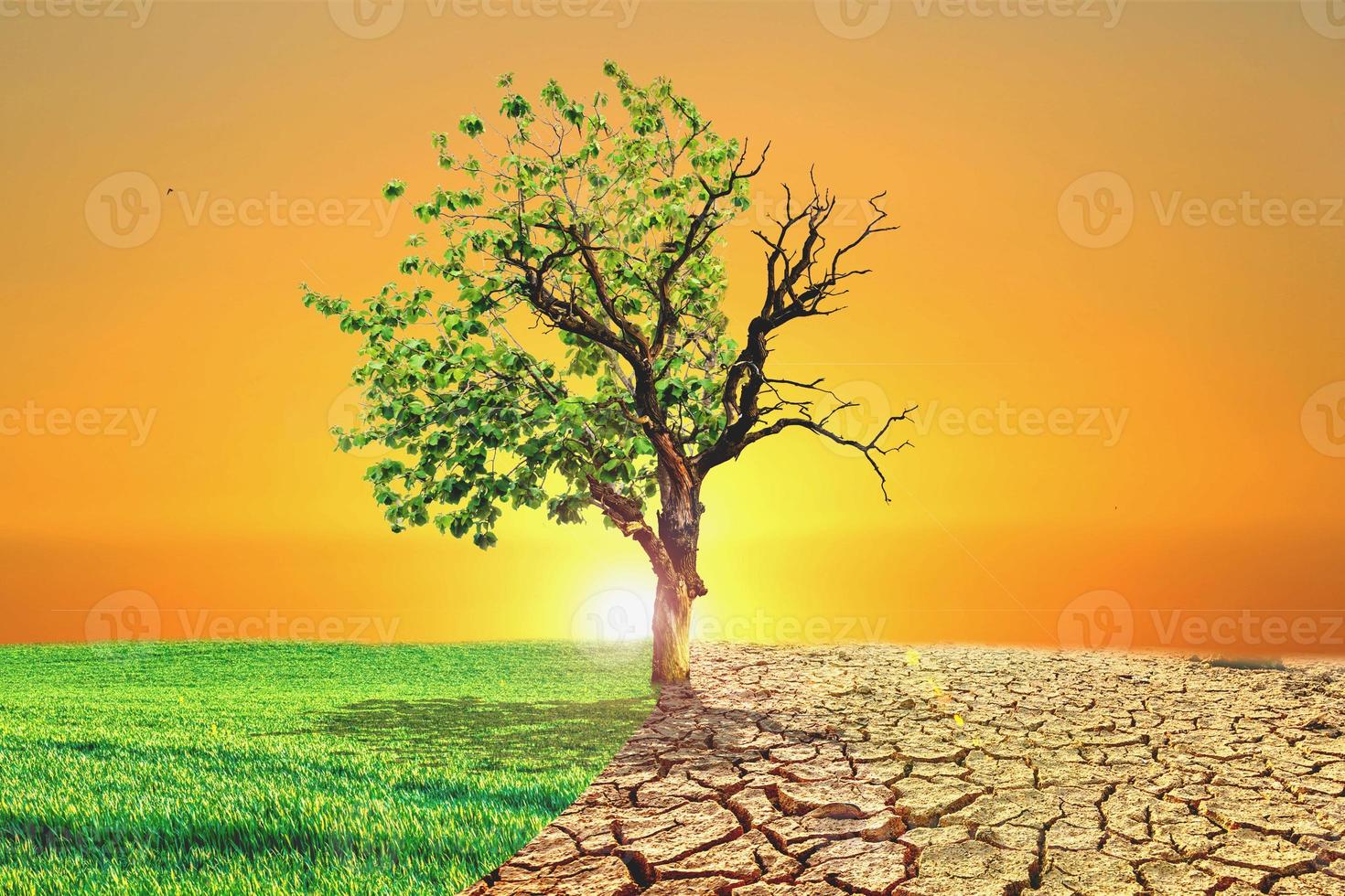 Image conceptuelle du réchauffement climatique montrant les effets de la terre sèche photo