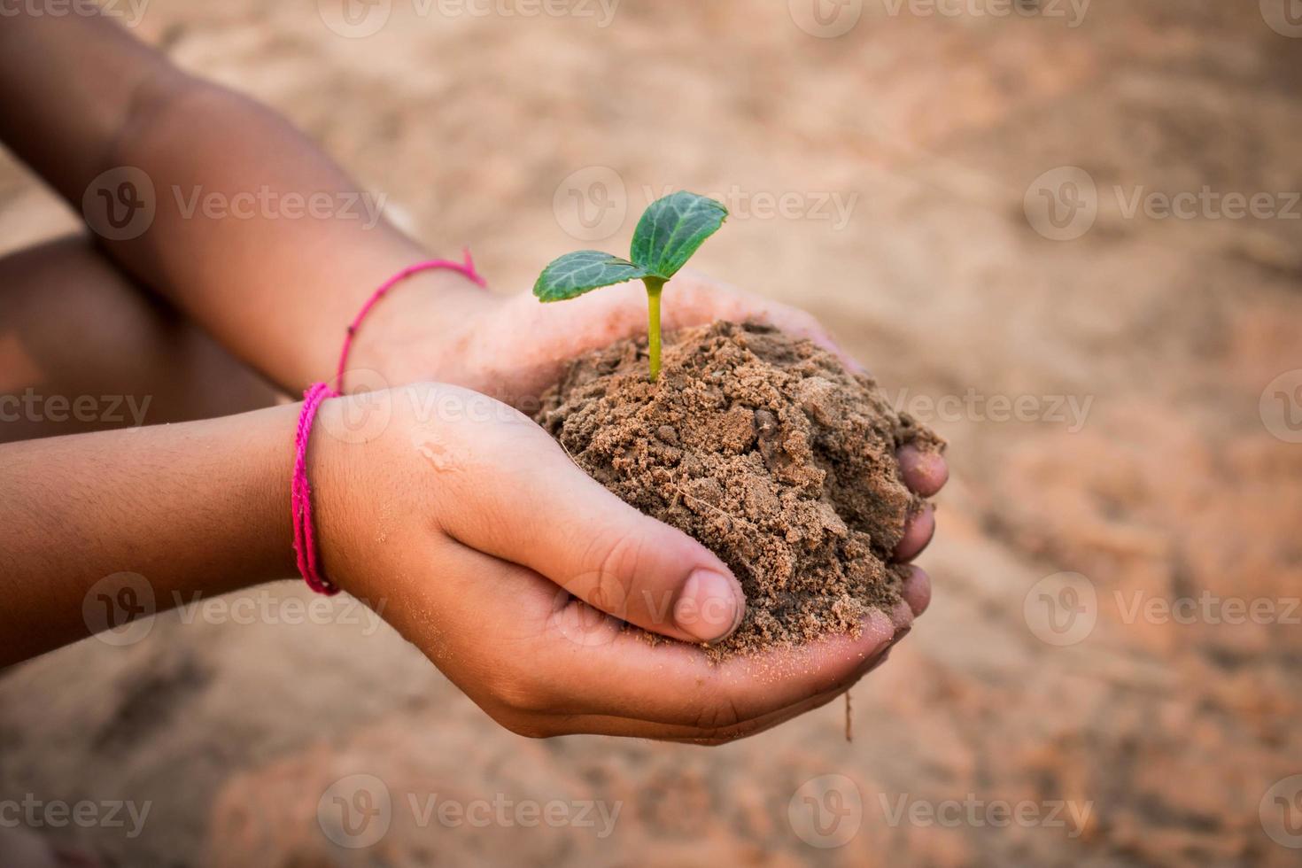 enfants plantant des forêts pour réduire le réchauffement climatique, concept boisé. photo