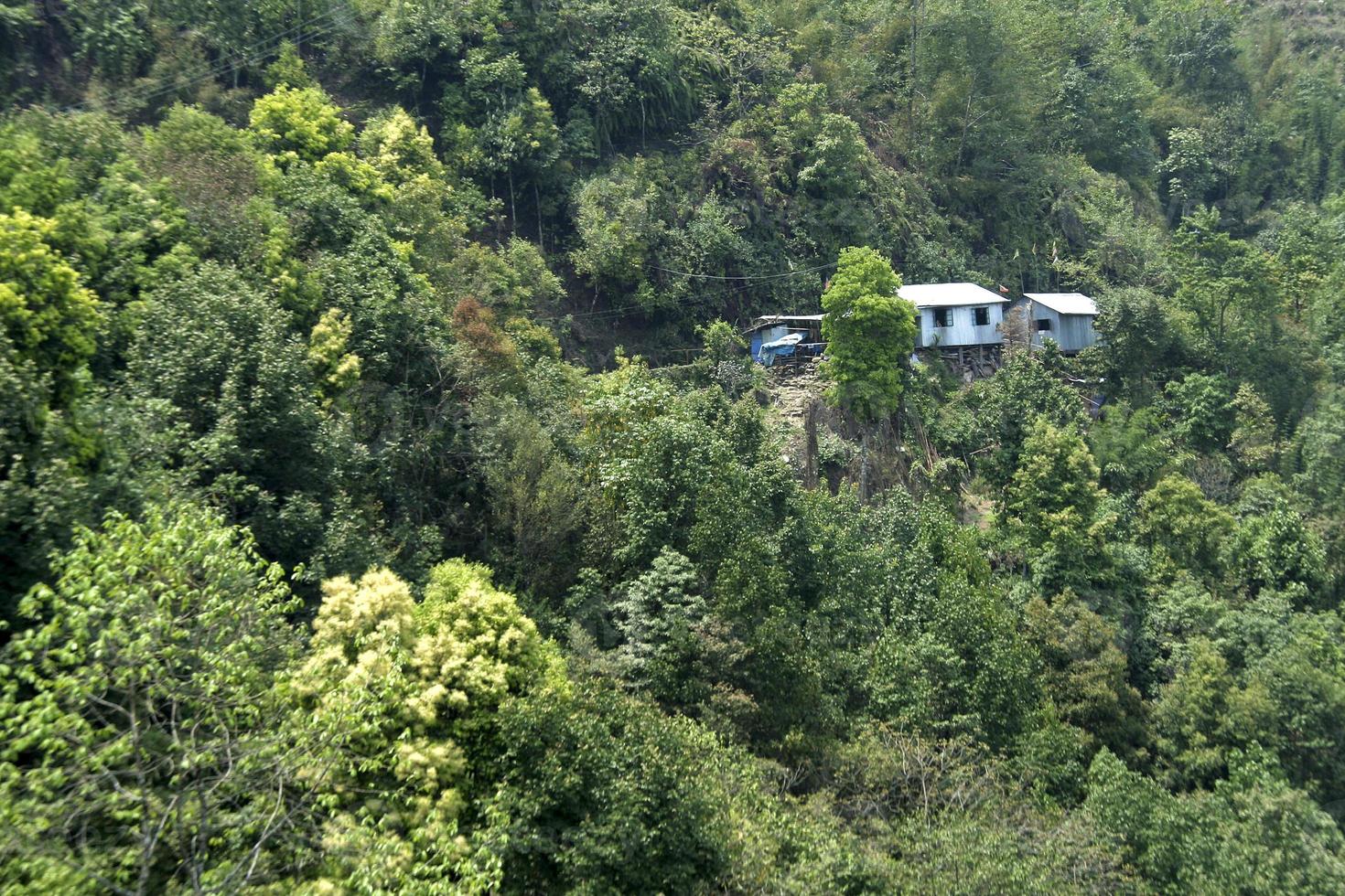 vue sur les maisons forestières photo